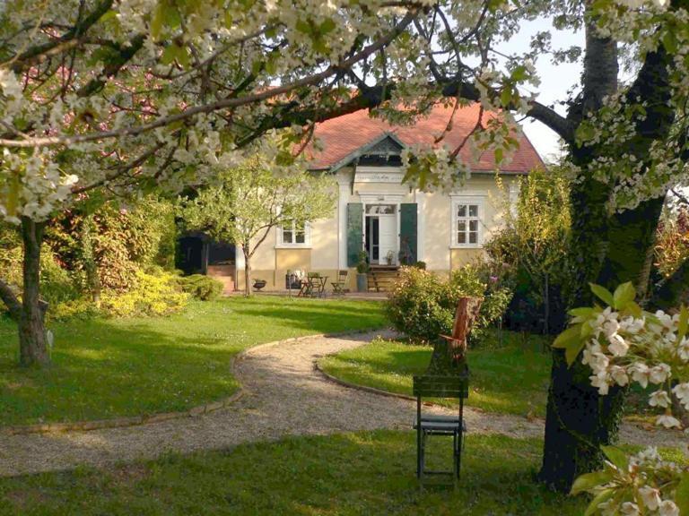 Villa Mimi Sopron Extérieur photo